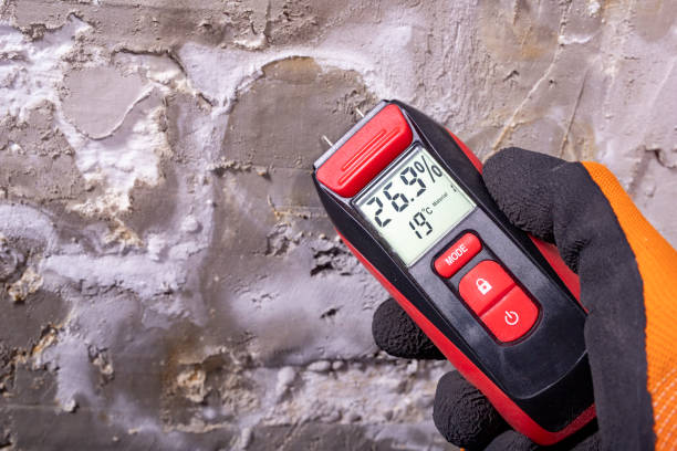 Best Toxic Mold Removal  in Stuart, FL