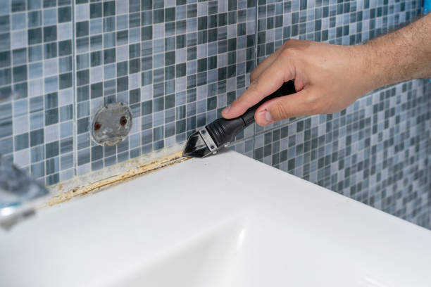 Best Mold Remediation  in Stuart, FL