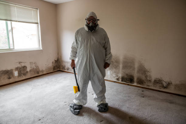 Best Emergency Mold Removal  in Stuart, FL